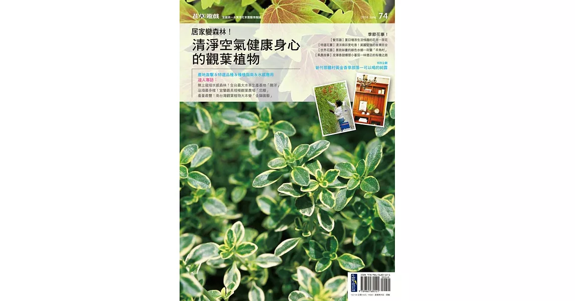 花草遊戲No.74 居家變森林！清淨空氣健康身心的觀葉植物 | 拾書所