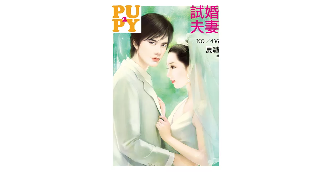 試婚夫妻 | 拾書所