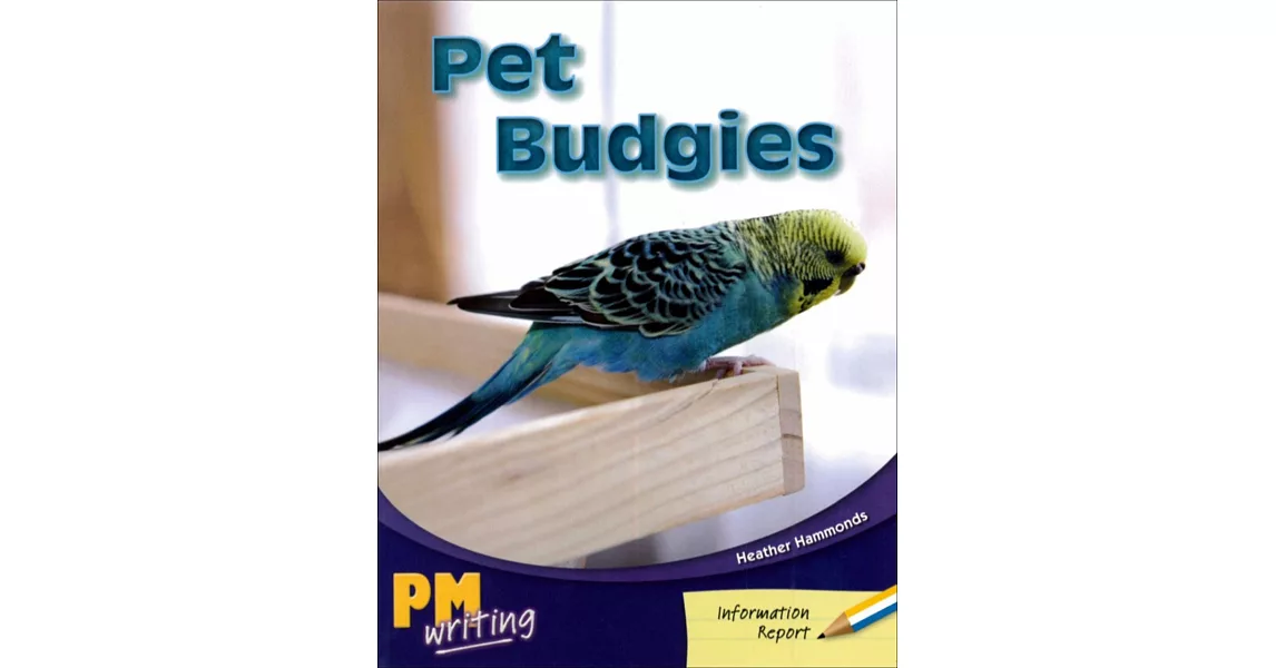 PM Writing 1 Yellow/Blue 8/9 Pet Budgies