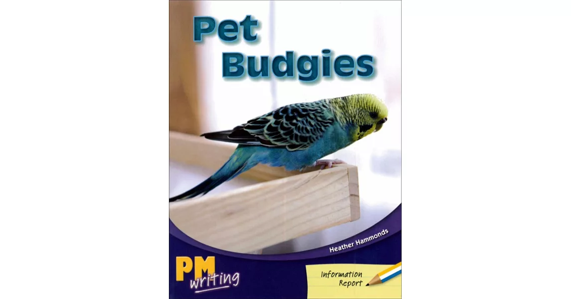 PM Writing 1 Yellow/Blue 8/9 Pet Budgies | 拾書所