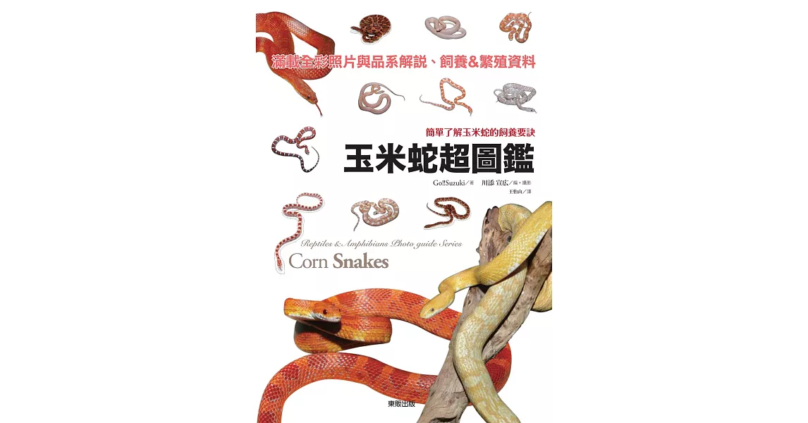 玉米蛇超圖鑑：簡單了解玉米蛇的飼養要訣 | 拾書所