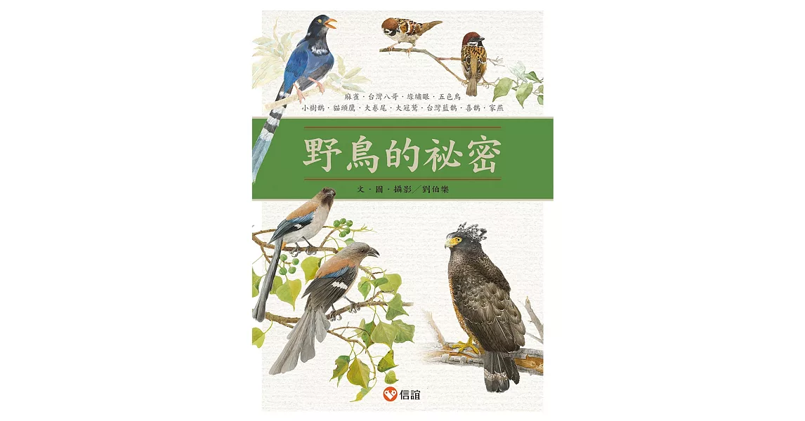 野鳥的祕密 | 拾書所