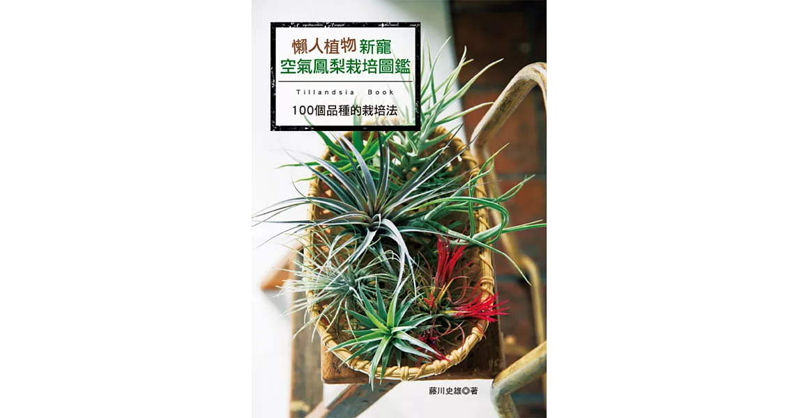 懶人植物新寵：空氣鳳梨栽培圖鑑 | 拾書所