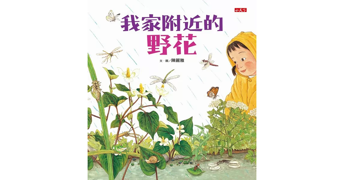 我家附近的野花 | 拾書所