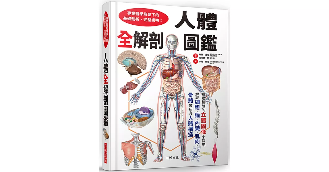 人體全解剖圖鑑：專業醫學背景下的基礎剖析，完整說明！ | 拾書所