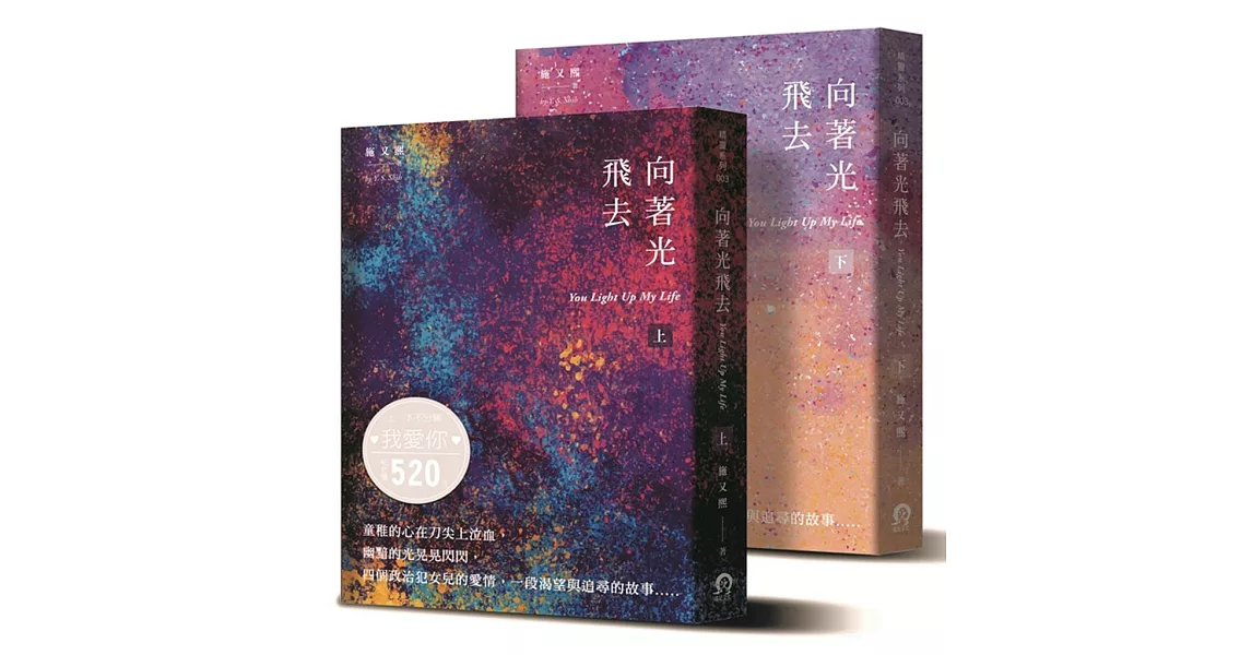 向著光飛去 (上下冊) | 拾書所