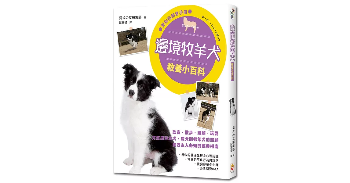 邊境牧羊犬教養小百科 | 拾書所