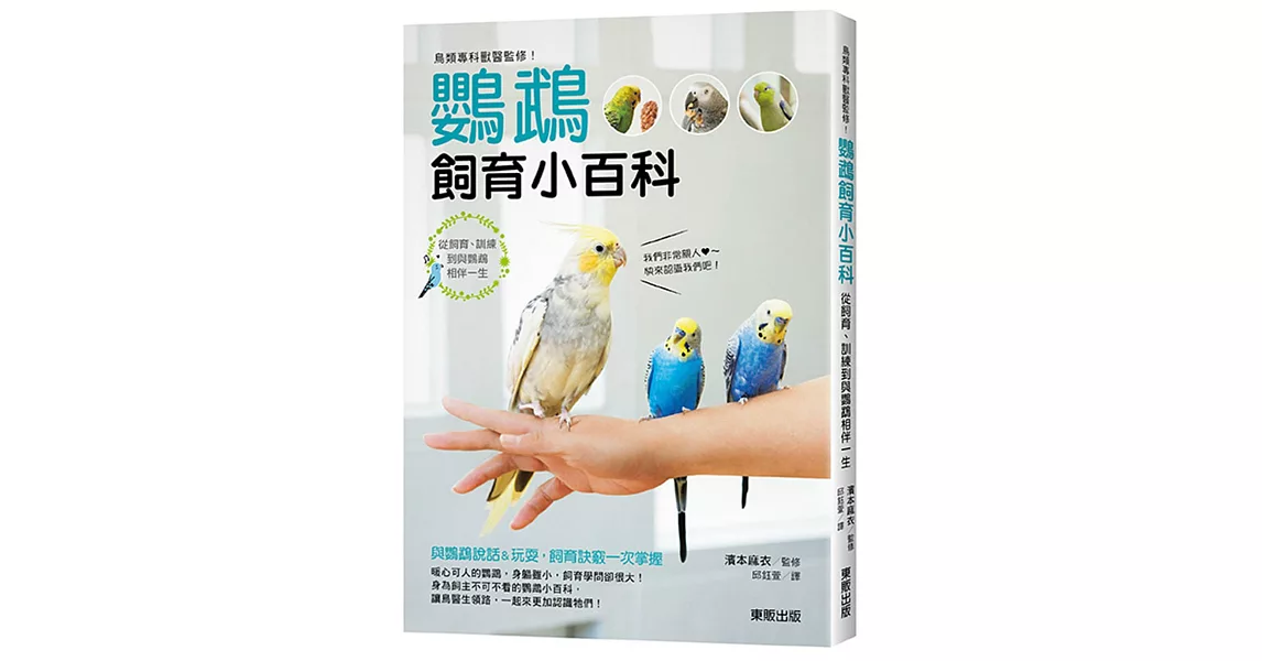 鳥類專科獸醫監修！鸚鵡飼育小百科：從飼育、訓練到與鸚鵡相伴一生 | 拾書所