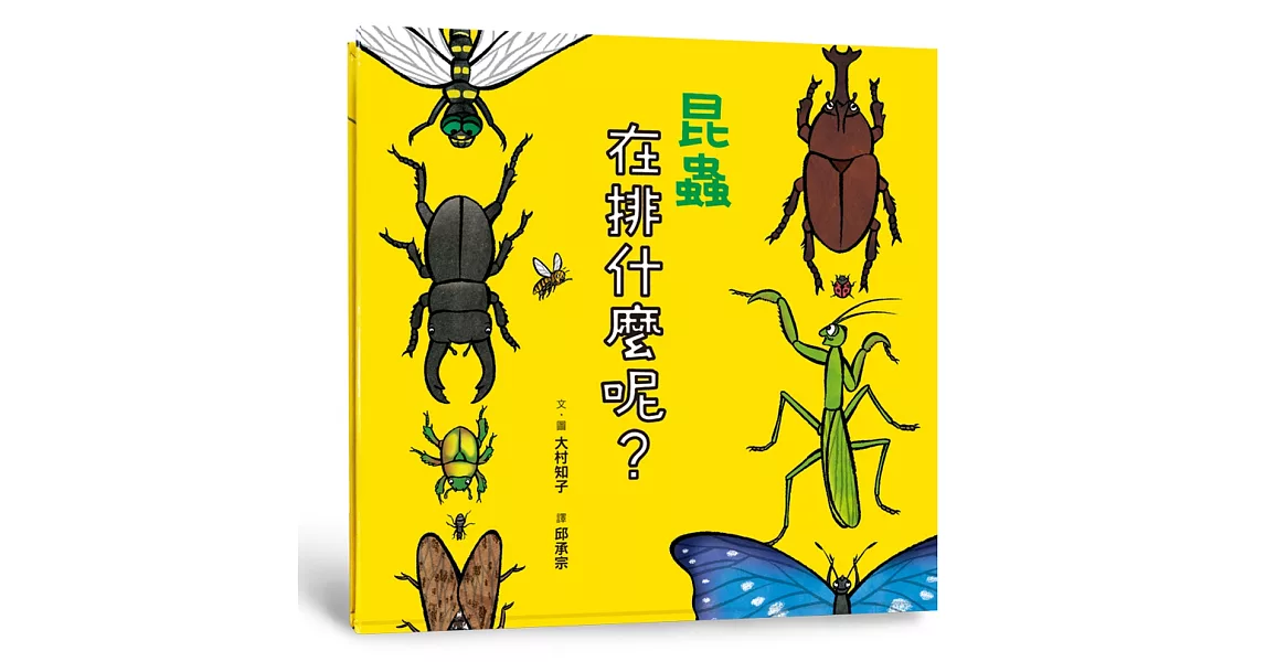 昆蟲在排什麼呢？ | 拾書所