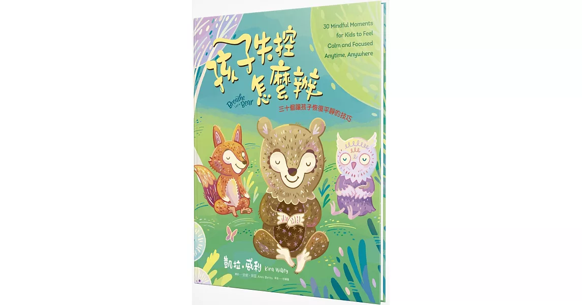 孩子失控怎麼辦：三十個讓孩子恢復平靜的技巧 | 拾書所