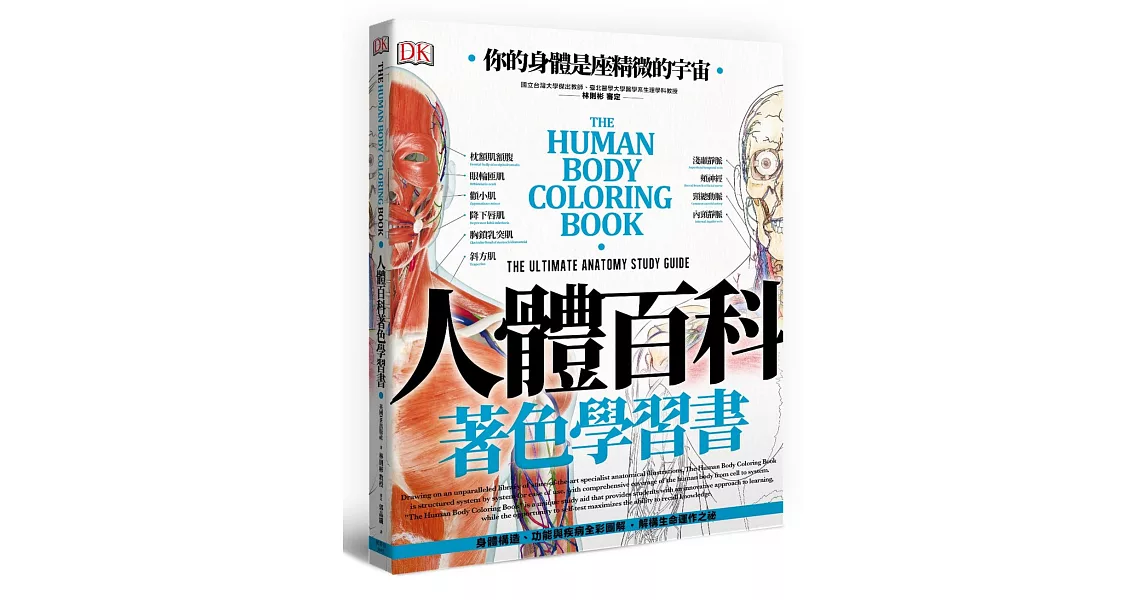 人體百科著色學習書：速效學習、了解人體構造 | 拾書所