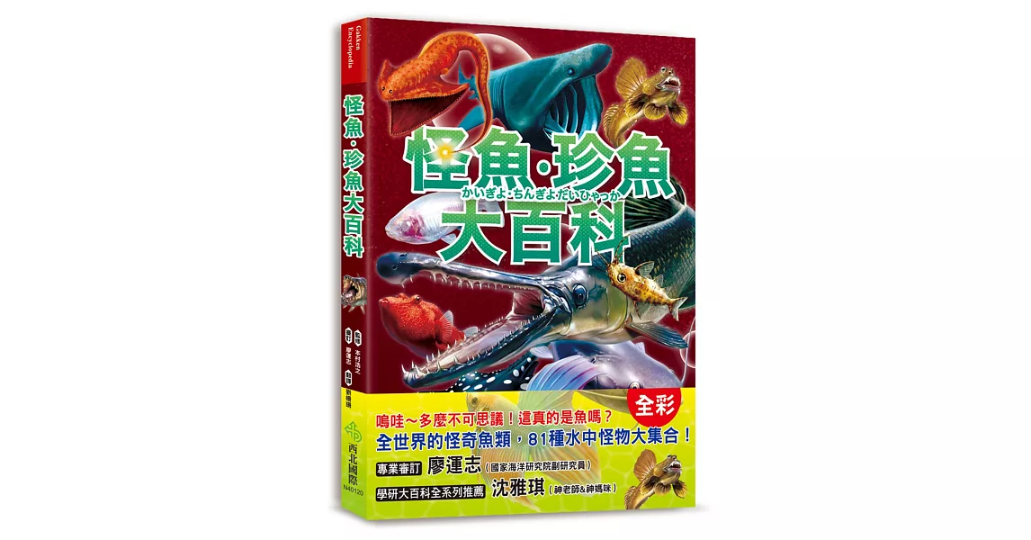 怪魚珍魚大百科：用鰾呼吸、用鰭走路、泳速可達每小時100公里，嚇！牠們真的是魚嗎？ | 拾書所