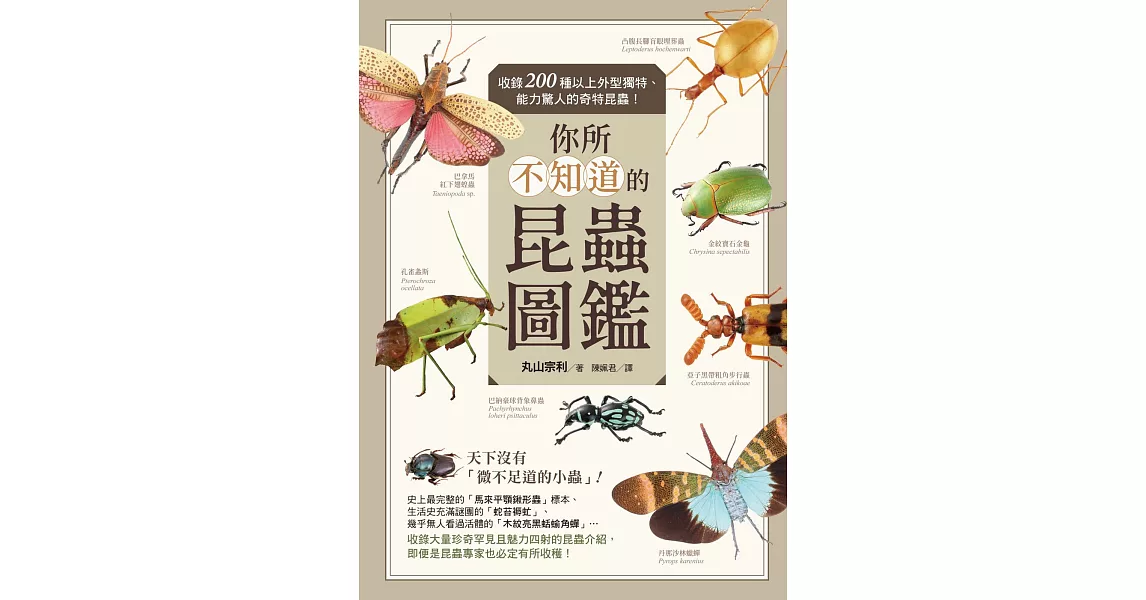 你所不知道的昆蟲圖鑑：收錄200種以上外型獨特、能力驚人的奇特昆蟲！ | 拾書所