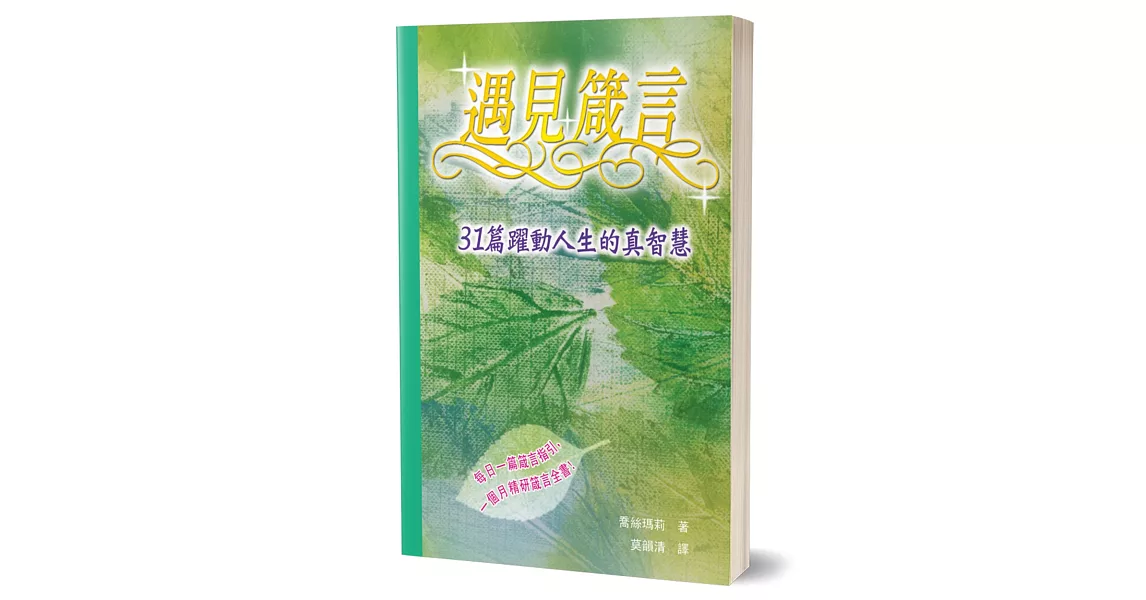 遇見箴言：31篇躍動人生的真智慧 | 拾書所