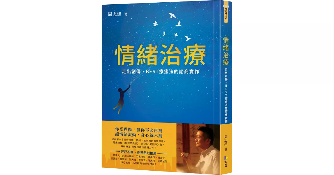 情緒治療：走出創傷，BEST療癒法的諮商實作 | 拾書所