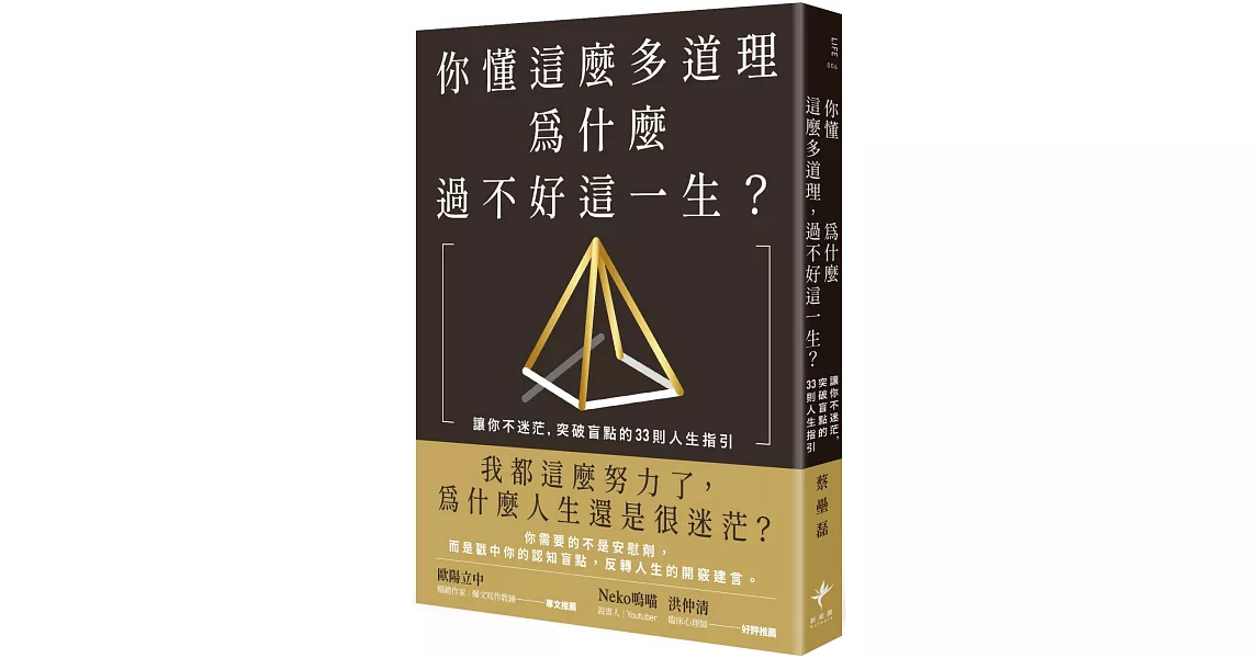 你懂這麼多道理，為什麼過不好這一生？：讓你不迷茫，突破盲點的33則人生指引（二版） | 拾書所