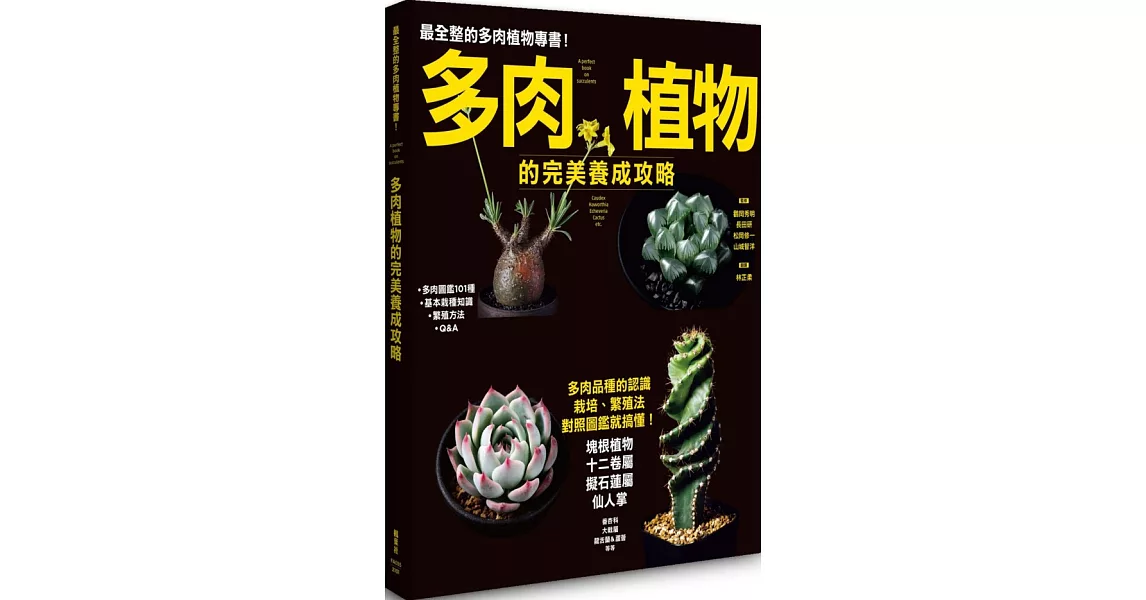 多肉植物的完美養成攻略 | 拾書所