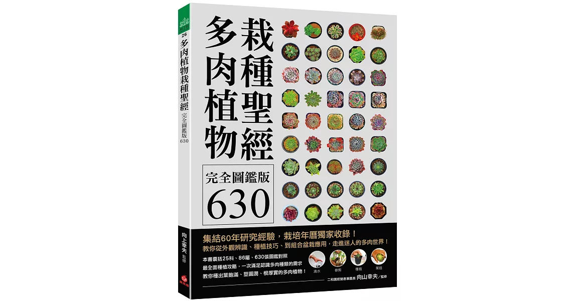 多肉植物栽種聖經完全圖鑑版630：集結60年研究經驗，栽培年曆獨家收錄！教你從外觀辨識、種植技巧、到組合盆栽應用，走進迷人的多肉世界！ | 拾書所