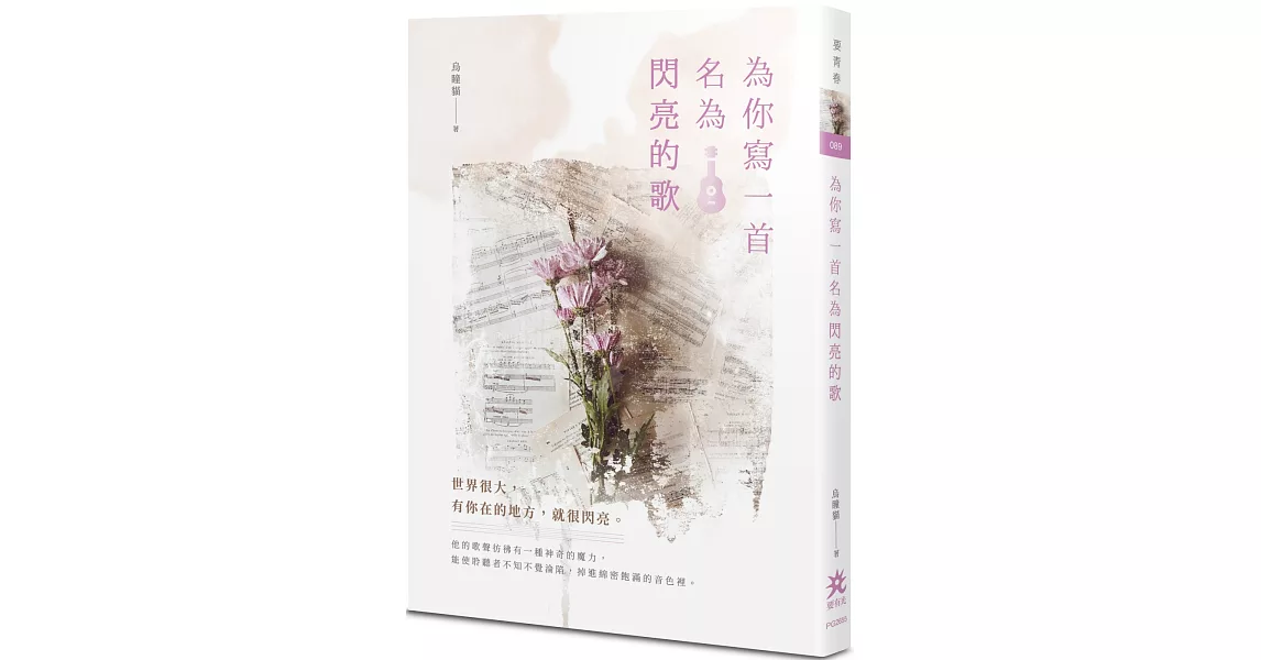 為你寫一首名為閃亮的歌 | 拾書所