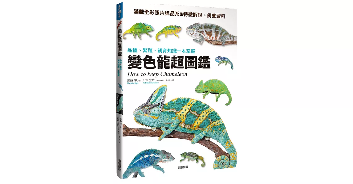 變色龍超圖鑑：品種、繁殖、飼育知識一本掌握 | 拾書所