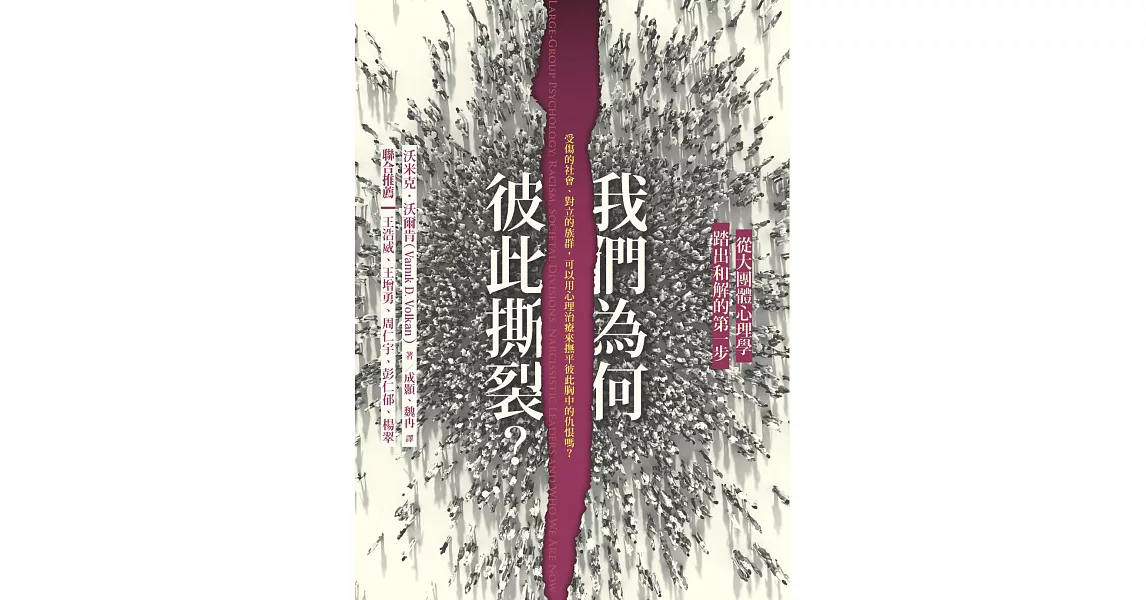 我們為何彼此撕裂？：從大團體心理學踏出和解的第一步 | 拾書所