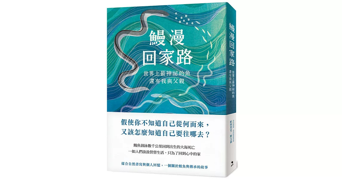 鰻漫回家路：世界上最神祕的魚，還有我與父親 | 拾書所