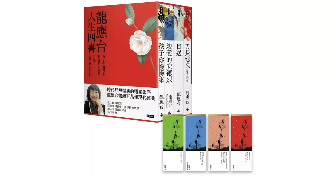 龍應台人生四書（限量禮盒組）：《孩子你慢慢來》、《親愛的安德烈》、《目送》、《天長地久》 | 拾書所