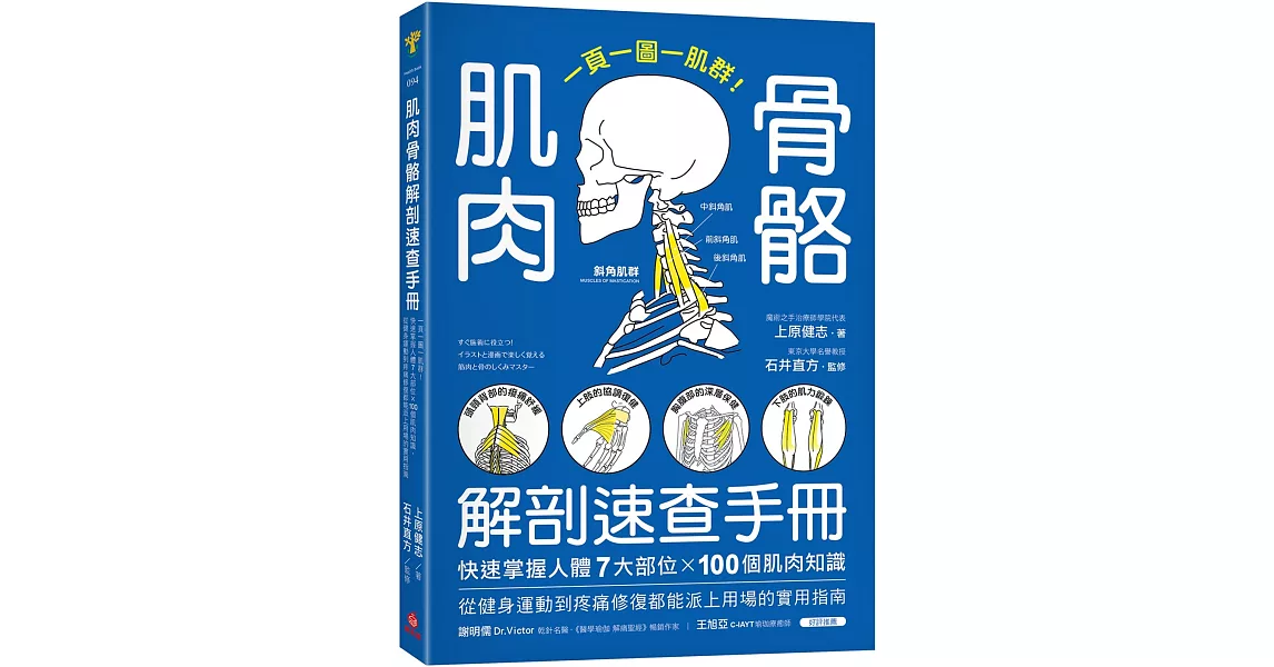 肌肉骨骼解剖速查手冊：一頁一圖一肌群！快速掌握人體7大部位x100個肌肉知識，從健身運動到疼痛修復都能派上用場的實用指南 | 拾書所