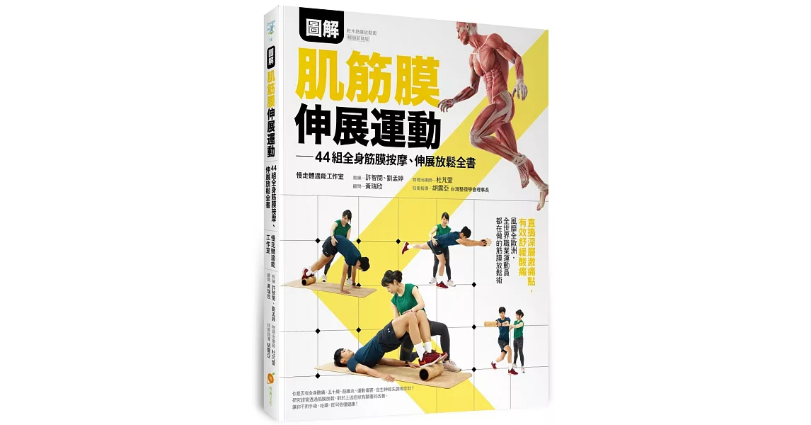 圖解肌筋膜伸展運動—44組全身筋膜按摩、伸展放鬆全書全書 | 拾書所