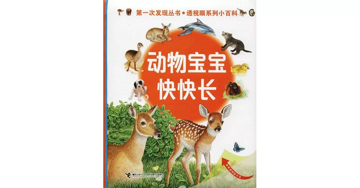 第一次發現叢書·透視眼系列小百科：動物寶寶快快長 | 拾書所