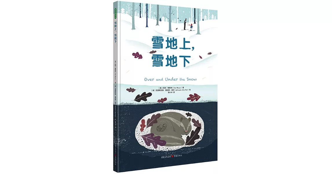 雪地上，雪地下 | 拾書所