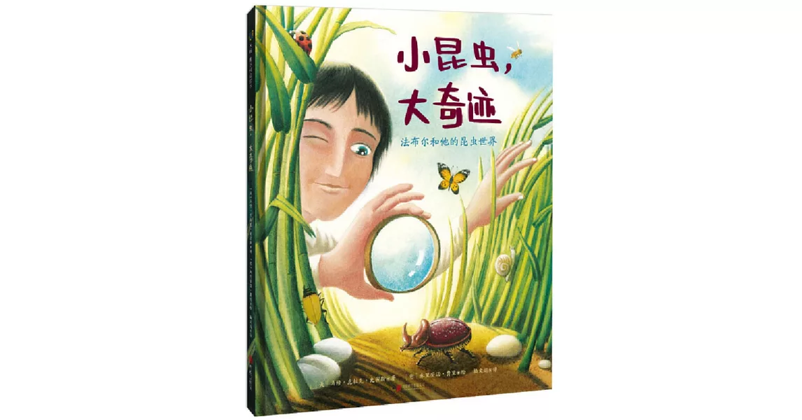 小昆蟲，大奇跡：法布爾和他的昆蟲世界 | 拾書所