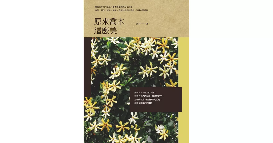 原來喬木這麼美 (電子書) | 拾書所