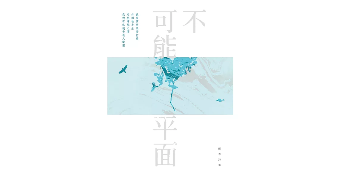 不可能平面——蘇善詩集 (電子書) | 拾書所