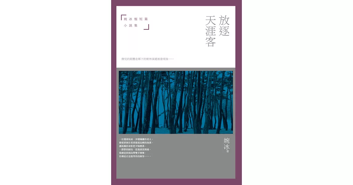 放逐天涯客：婉冰極短篇小說集 (電子書) | 拾書所