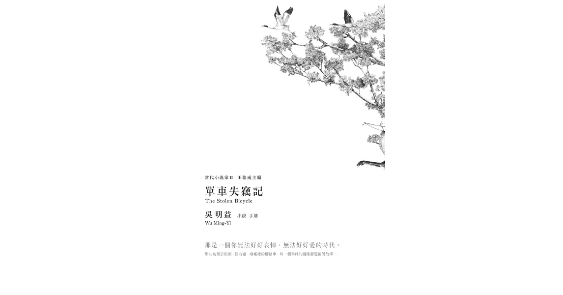 單車失竊記 (電子書) | 拾書所