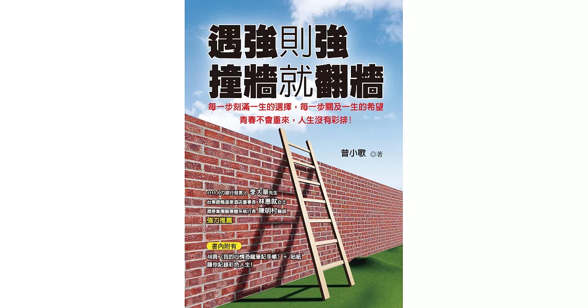 遇強則強，撞牆就翻牆 (電子書) | 拾書所