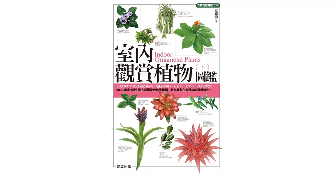 室內觀賞植物圖鑑（下） (電子書) | 拾書所