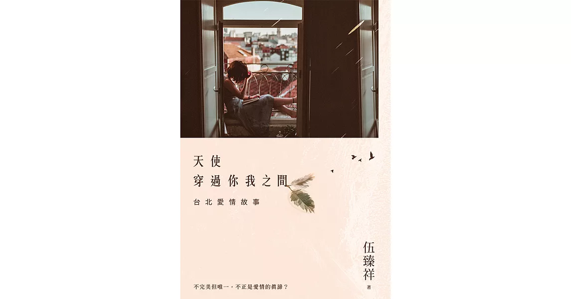 天使穿過你我之間：台北愛情故事 (電子書) | 拾書所