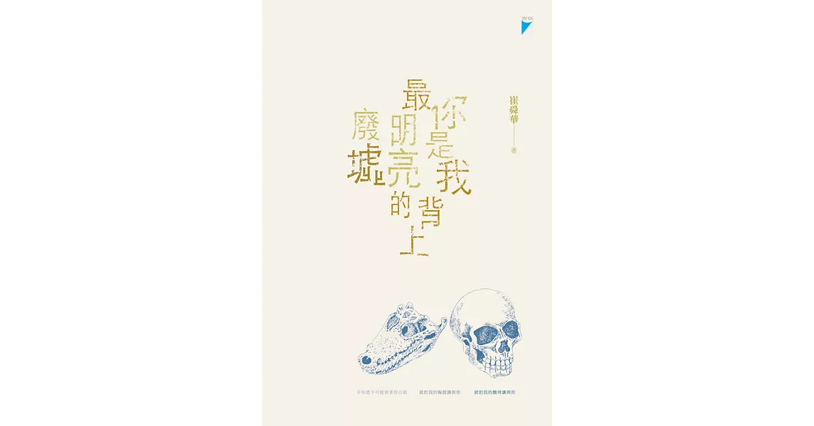 你是我背上最明亮的廢墟 (電子書) | 拾書所