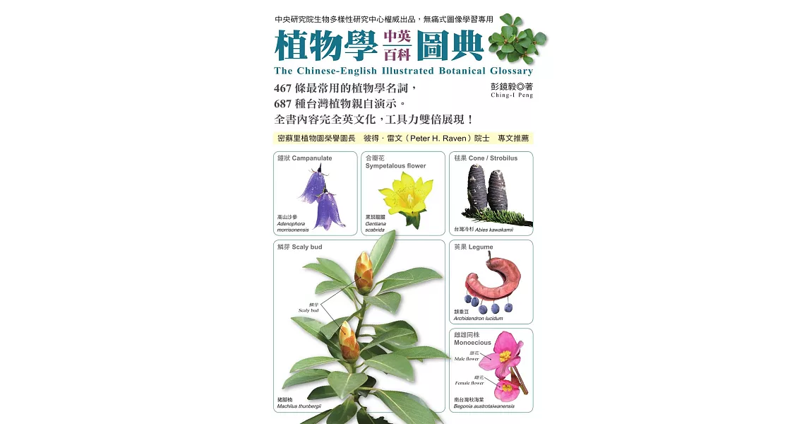 植物學中英百科圖典 (電子書) | 拾書所