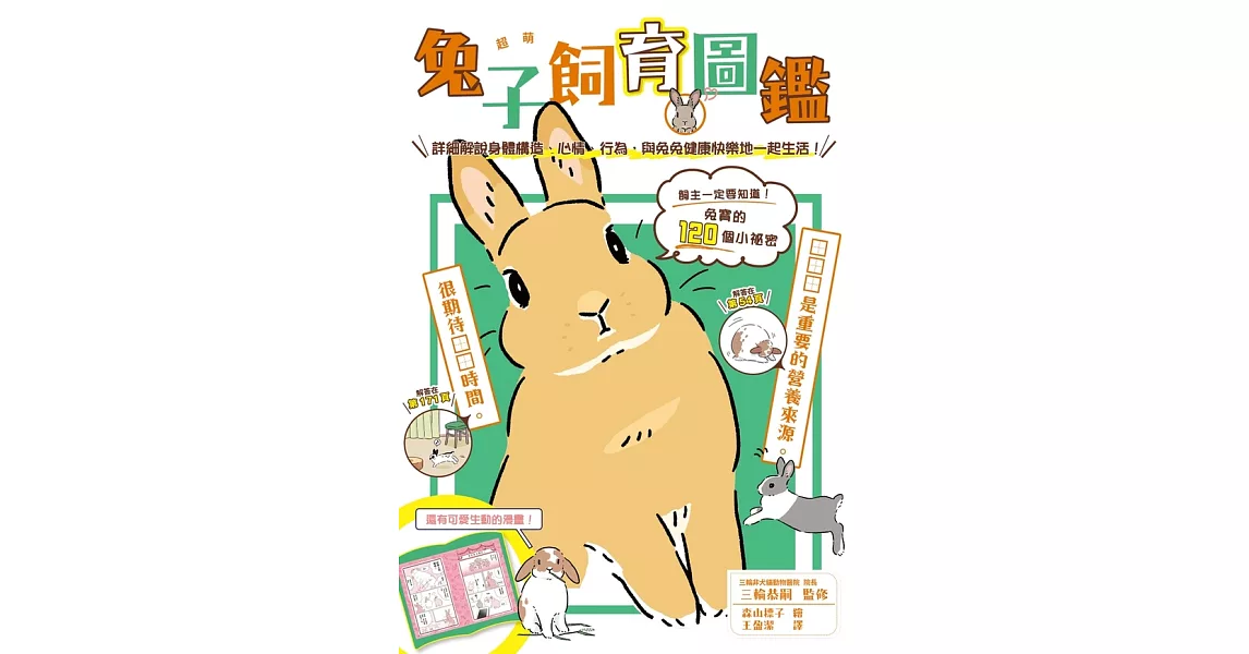 超萌兔子飼育圖鑑：詳細解說身體構造、心情、行為，與兔兔健康快樂地一起生活! (電子書) | 拾書所