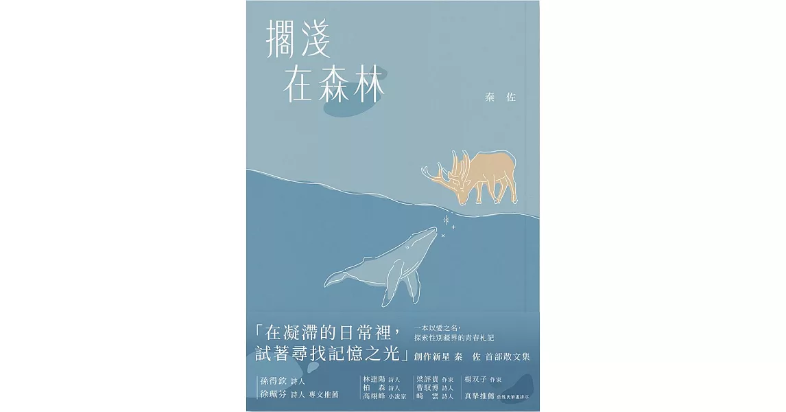 擱淺在森林 (電子書) | 拾書所