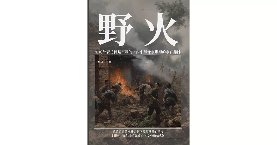 野火：它的外表彷彿是平靜的，內中卻像水鍋裡的水在鼎沸 (電子書) | 拾書所