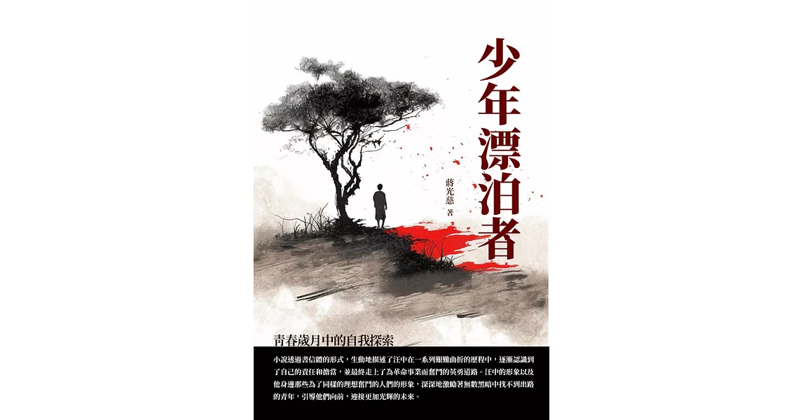 少年漂泊者：青春歲月中的自我探索 (電子書) | 拾書所