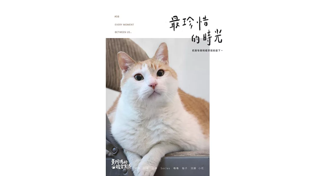 黃阿瑪的後宮生活8：最珍惜的時光 (電子書) | 拾書所