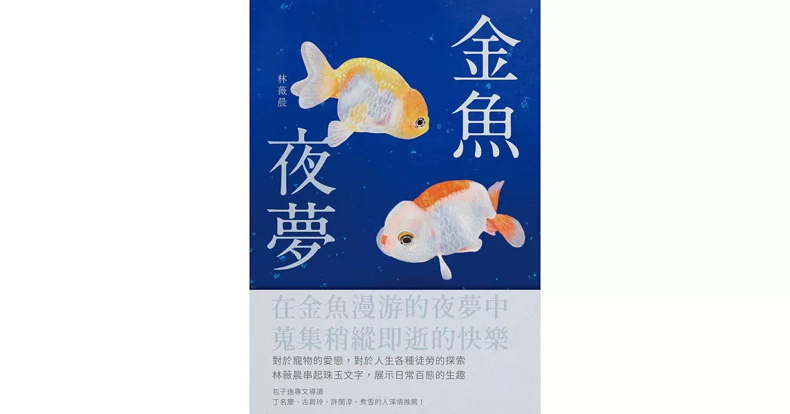 金魚夜夢 (電子書) | 拾書所