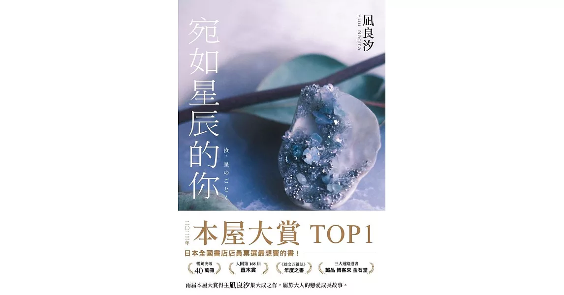 宛如星辰的你【2023年本屋大賞TOP1】（璀璨如星版書封） (電子書) | 拾書所