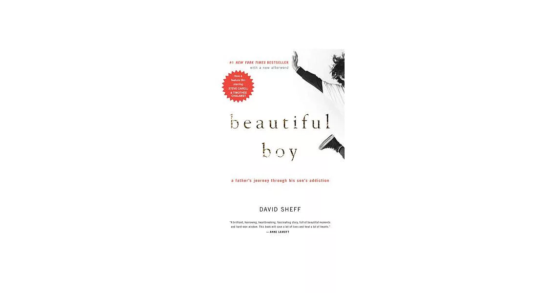 Beautiful Boy: A Father’s Journey Through His Son’s Addiction | 拾書所