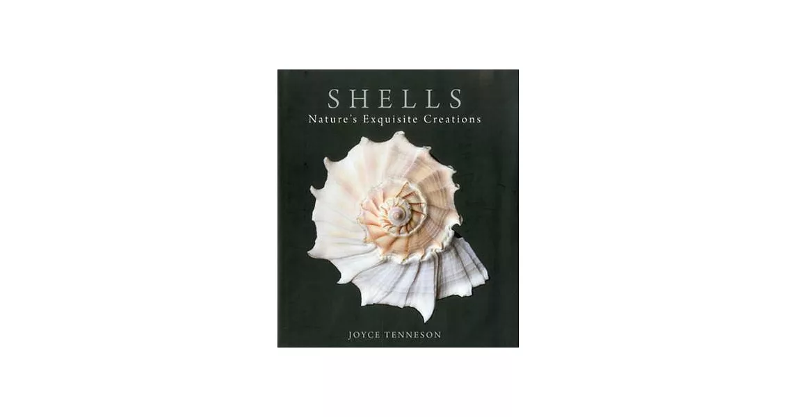 Shells: Nature’s Exquisite Creations | 拾書所